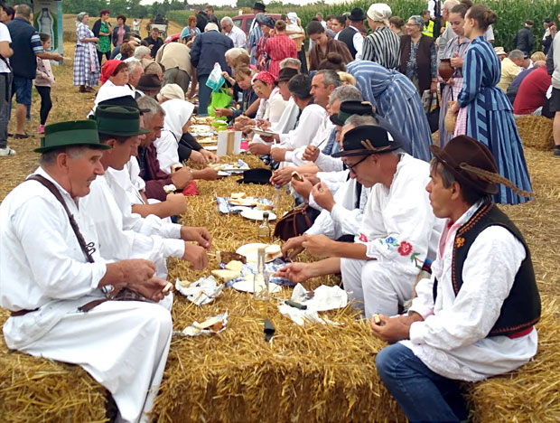 У част хлеба и жита